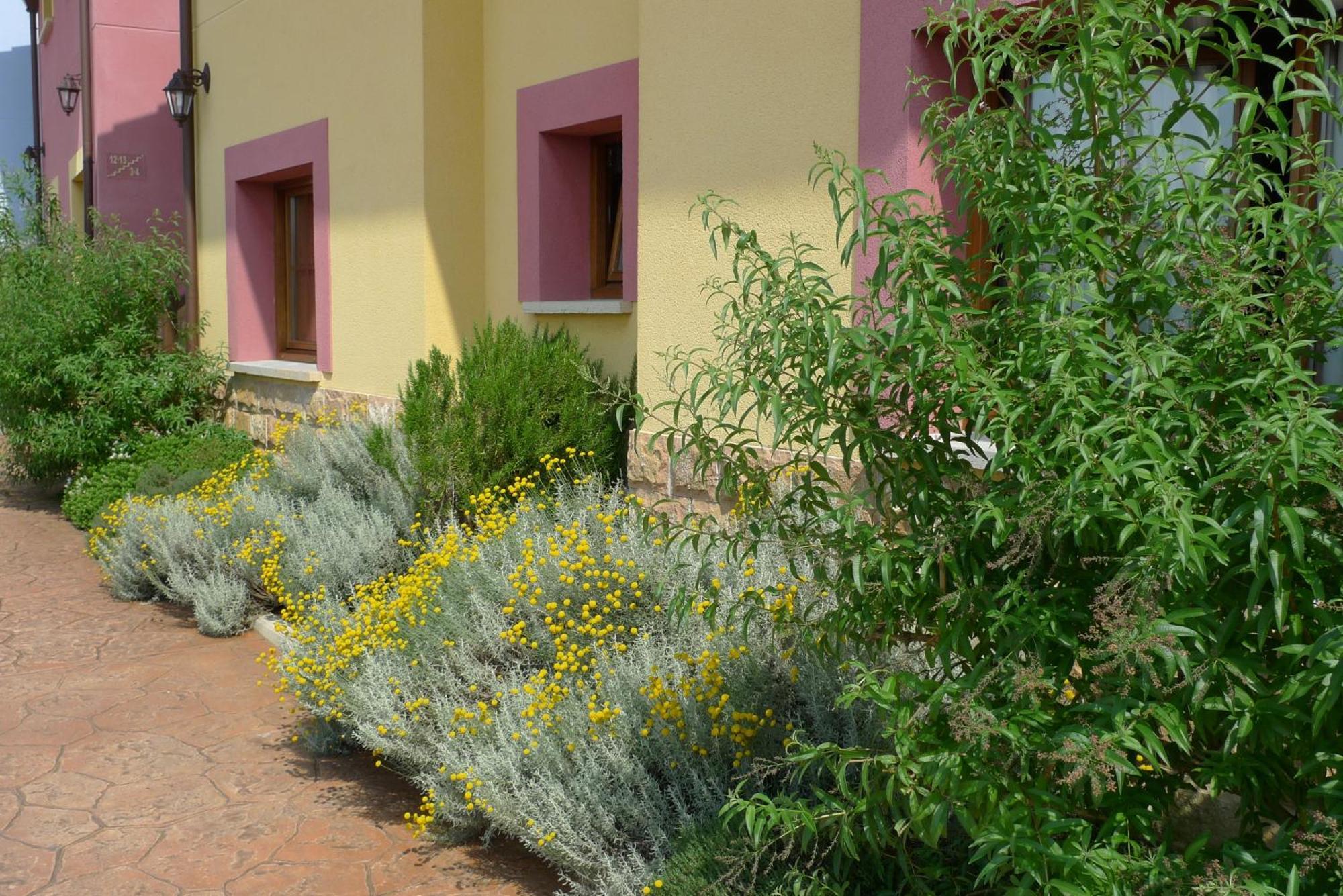 Apartamentos Rurales Antojanes Granda  Exterior photo
